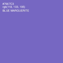 #7667C3 - Blue Marguerite Color Image